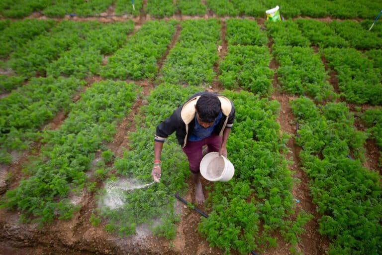 Seasonal Eating: Spring Vegetables Guide