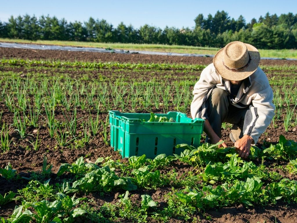 The Benefits of Organic Farming