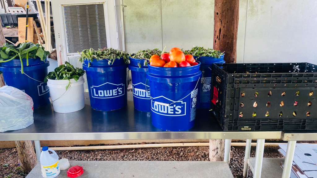 The Importance of Soil Health