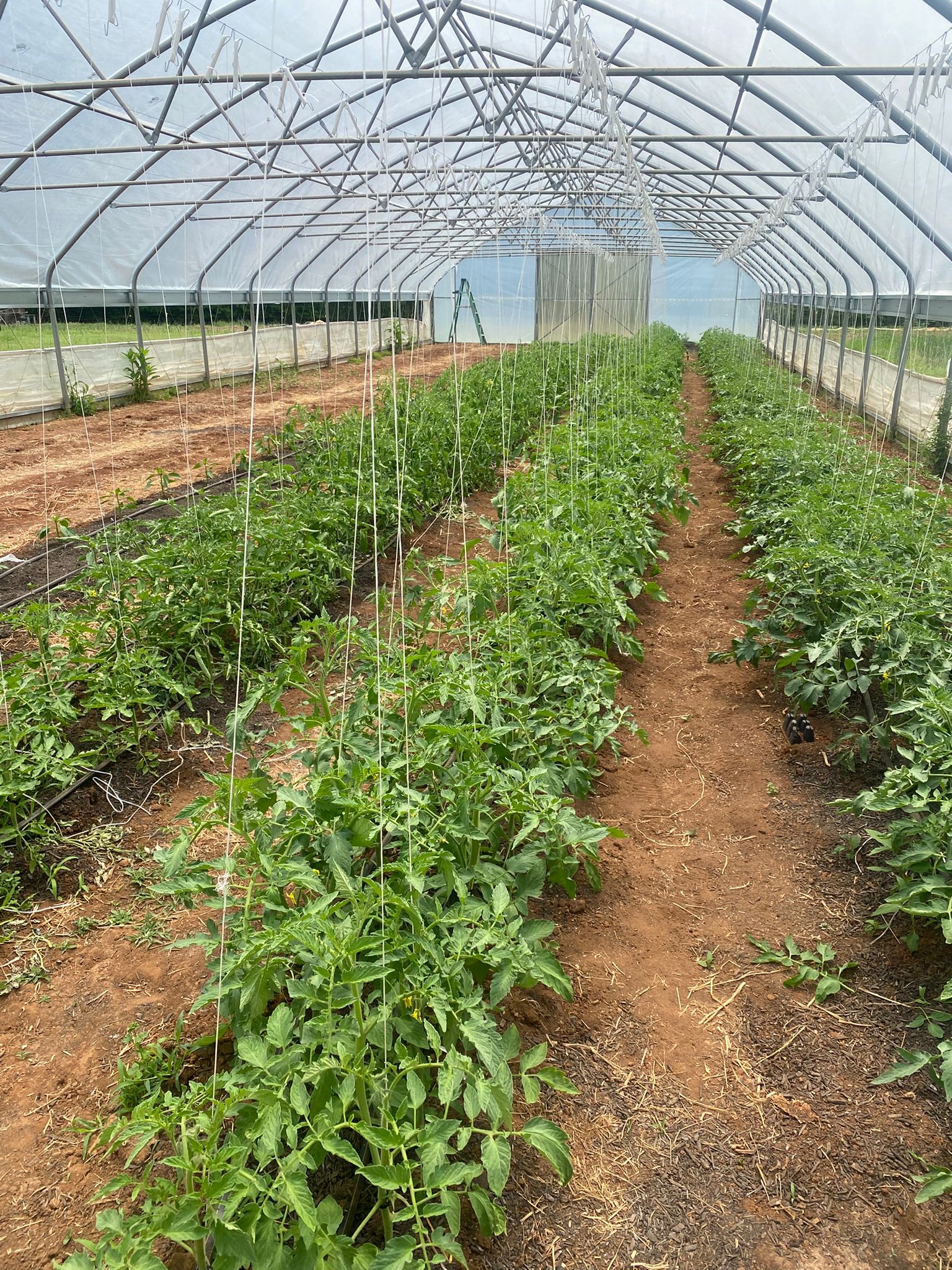 Modern Farming Equipment