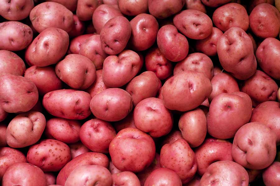 Red potatoes