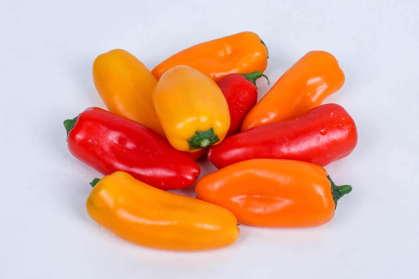 SWEET PEPPER