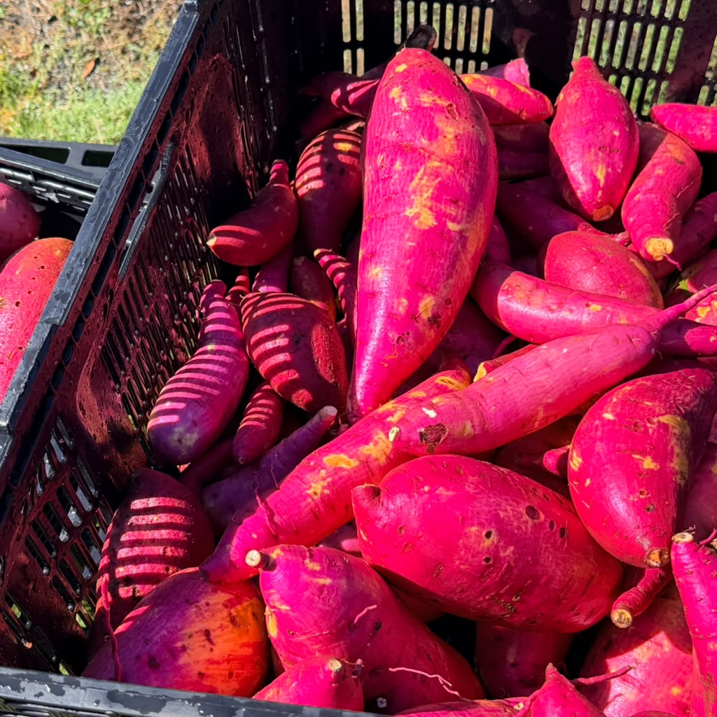 sweet potatoes