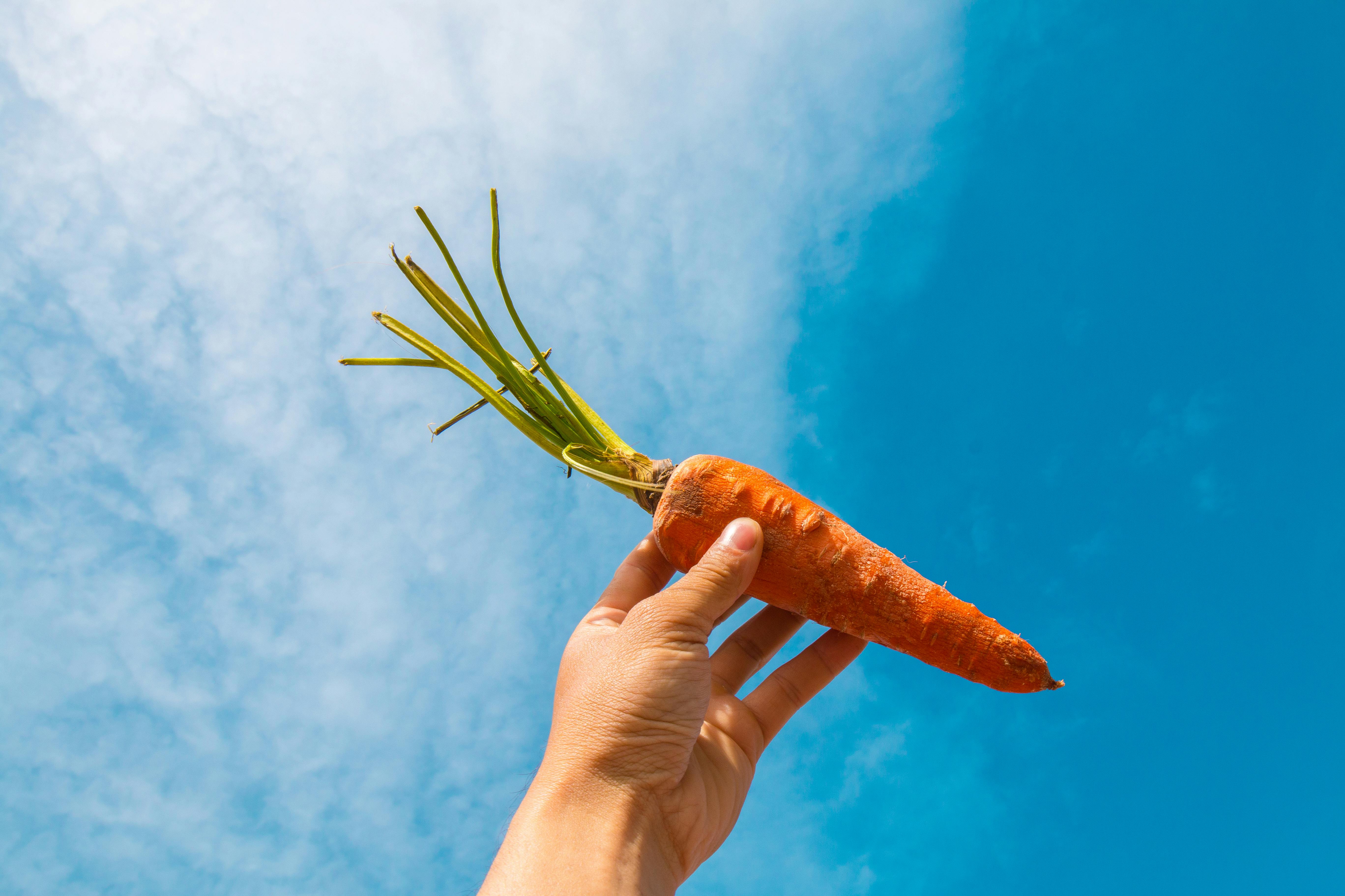 Carrot Organic image 1