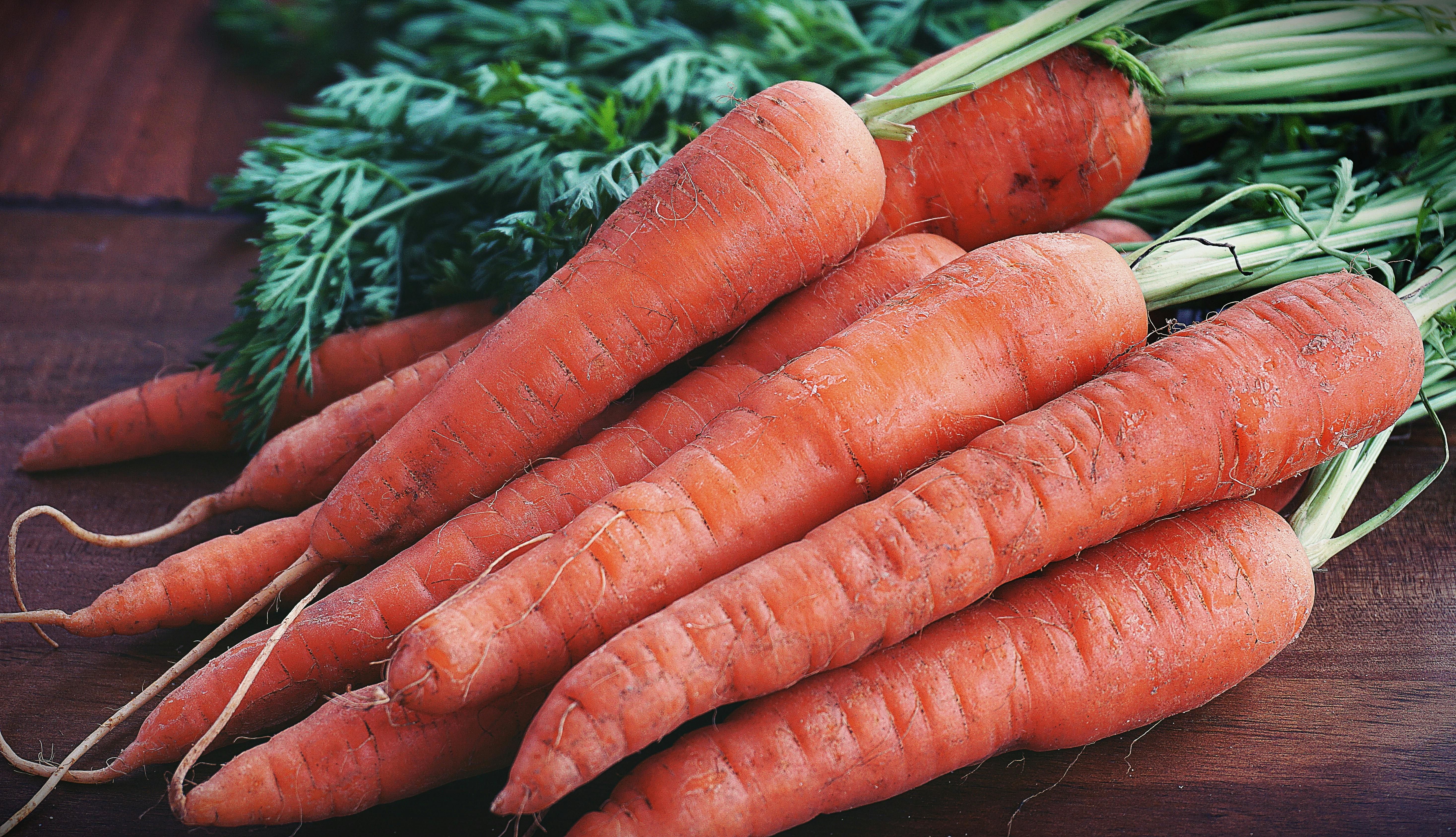 Carrot Organic image 3