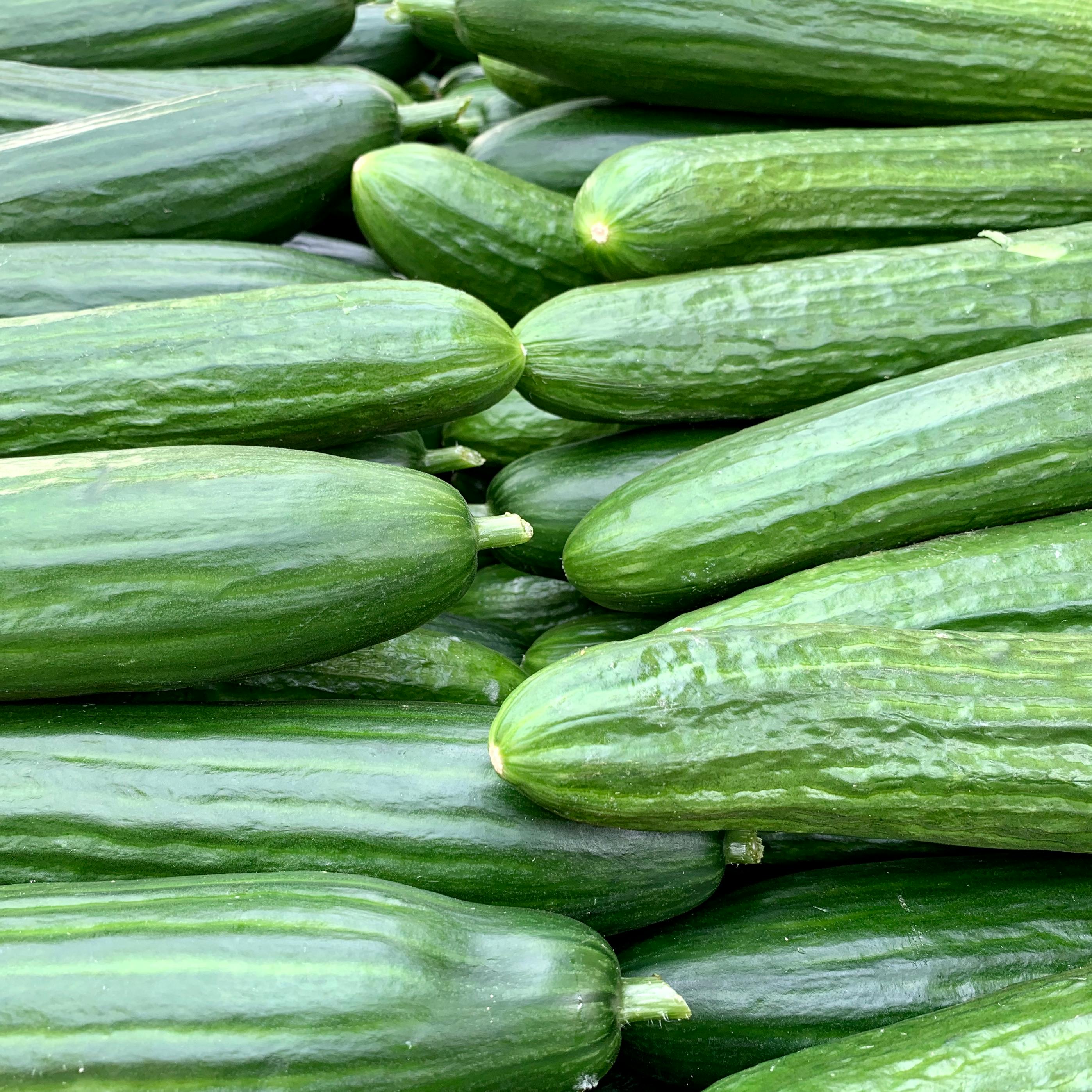 Cucumber Organic image 1