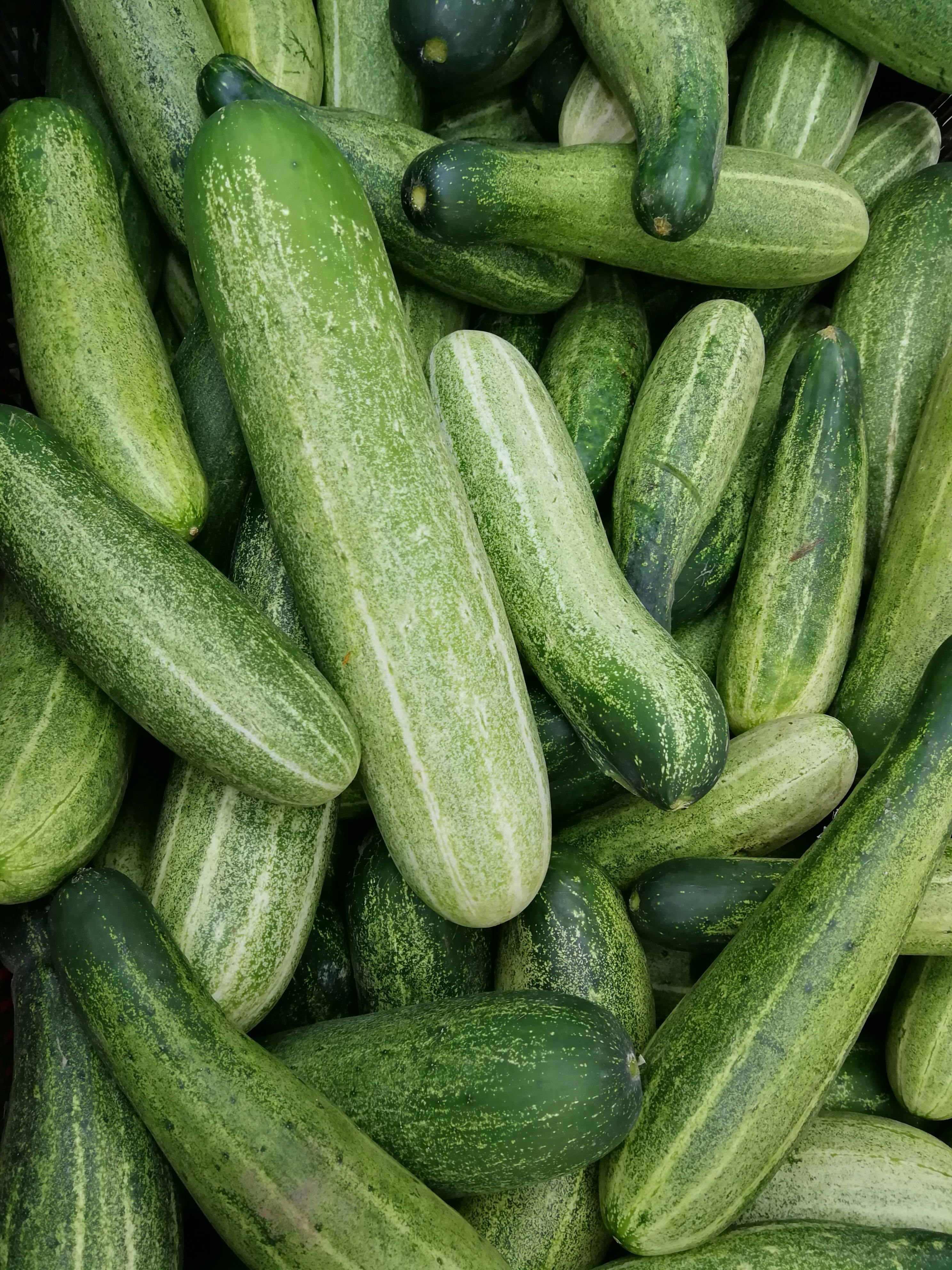 Cucumber Organic